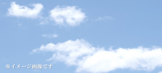 上野町墓地
